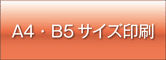 A4・B5サイズオンデマンド印刷