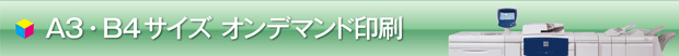 A4・B5サイズオンデマンド印刷