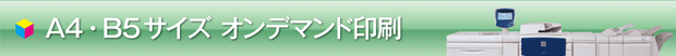 A4・B5サイズオンデマンド印刷
